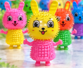 Animal Flash Balls Sensory Toy with Light n' Sound